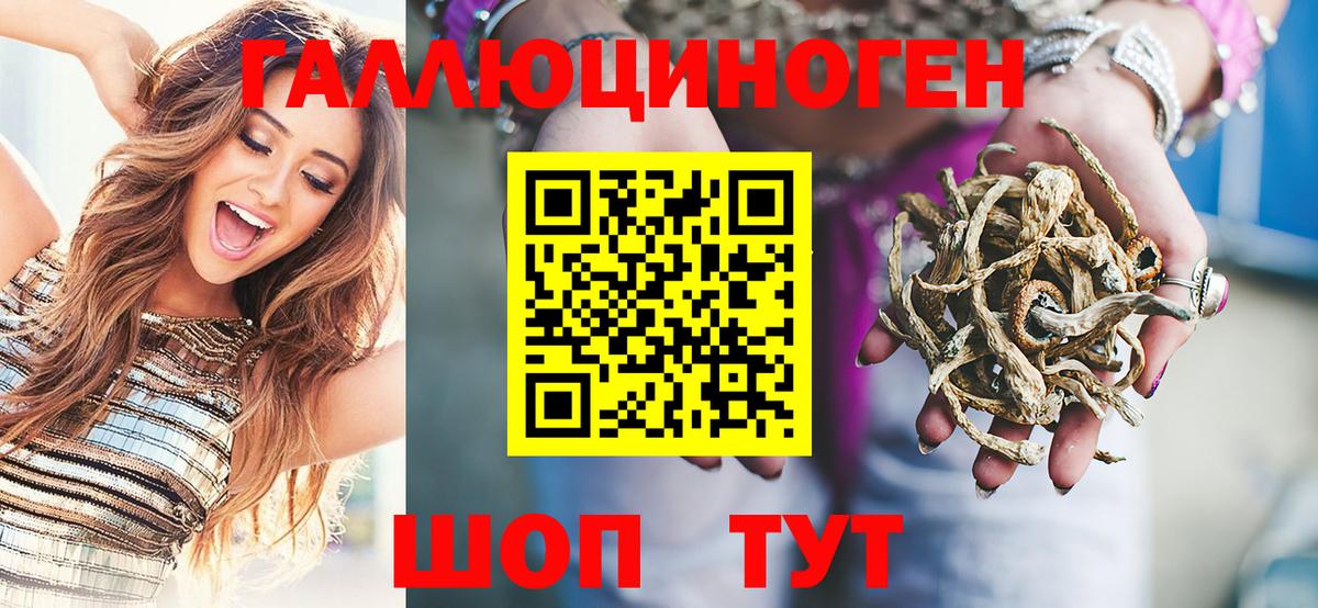 Псилоцибиновые грибы мухоморы Александров
